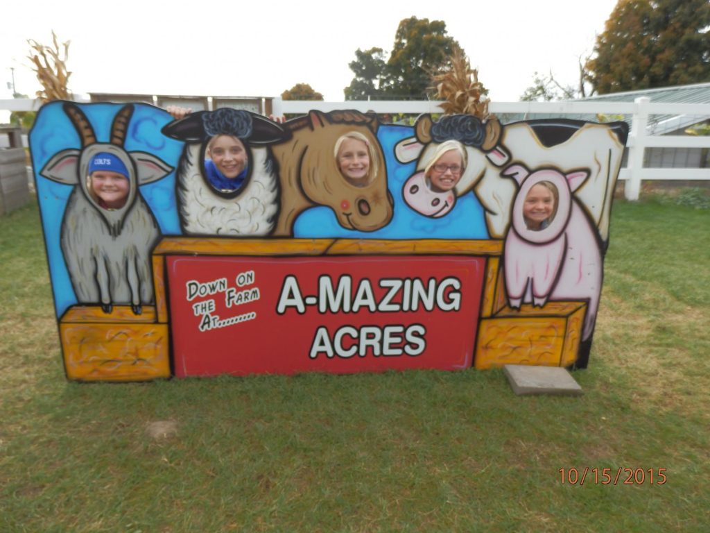 Pumpkin Patch (2).JPG