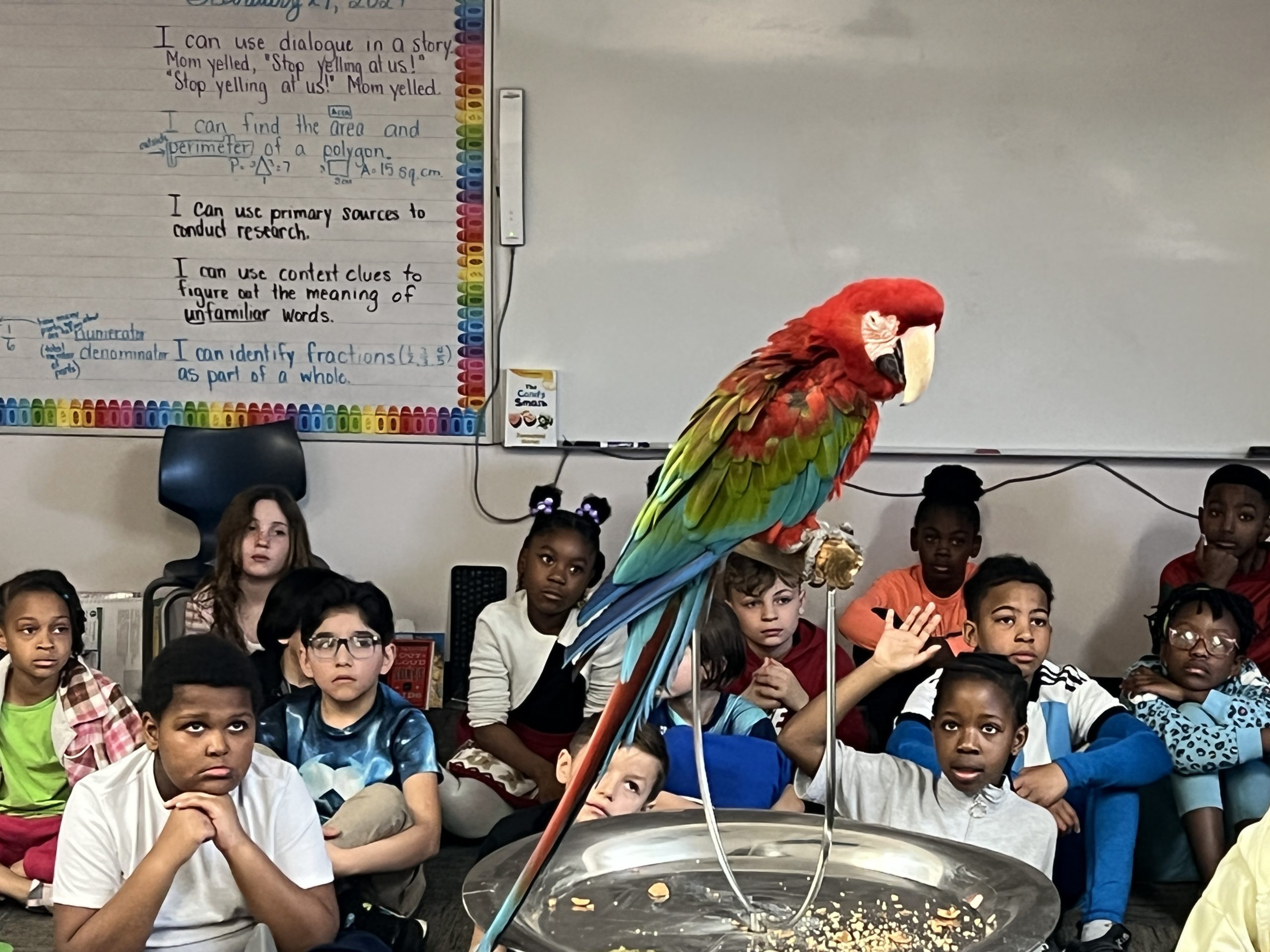 Zoo to You Comes to Walt Disney - Walt Disney Elementary School