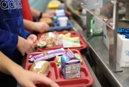 Closeup shots of students school lunch trays
